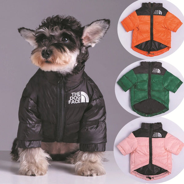 Jaqueta Dog Rocky™ | Roupa Para Cachorro