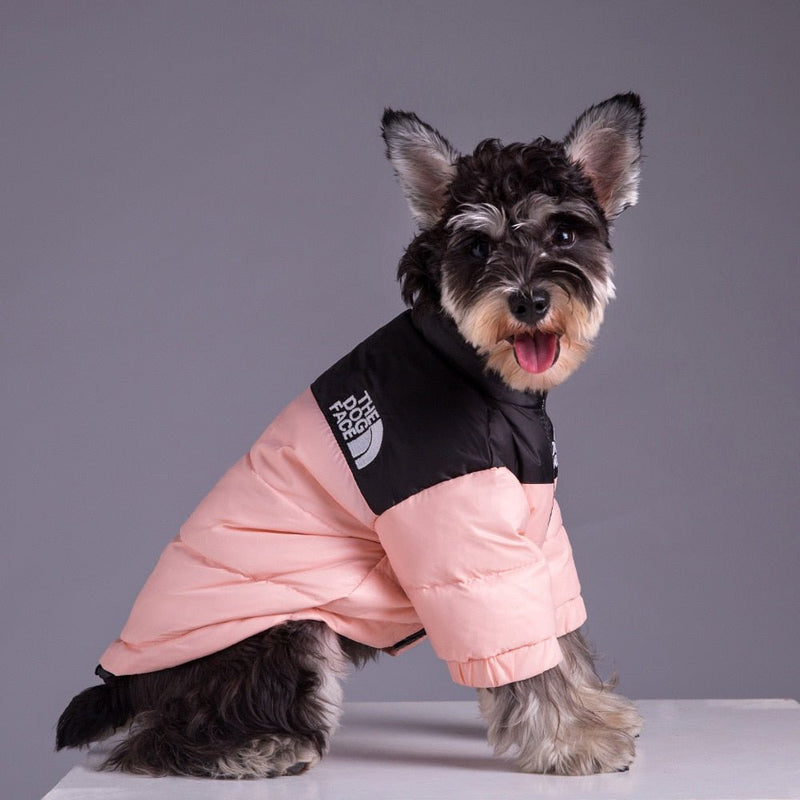 Jaqueta Dog Rocky™ | Roupa Para Cachorro